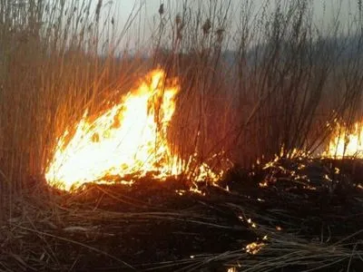 За сутки в Украине произошло 625 пожаров на открытых территориях