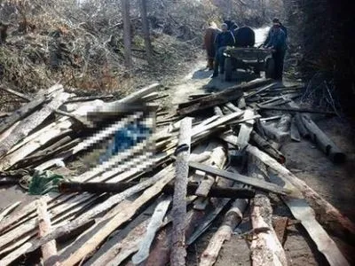 Ребенок погиб под завалом досок в Житомирской области
