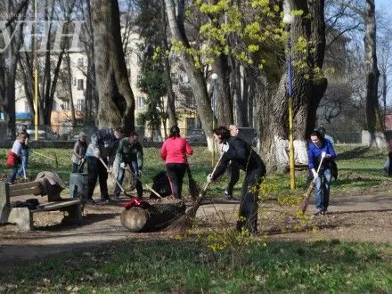 Общегородскую толоку организовали в Ужгороде