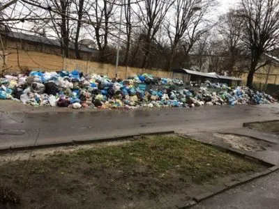Почти половина мусорных площадок Львова переполнена