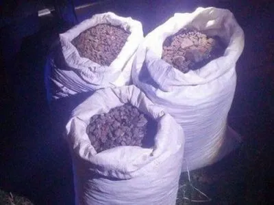 Более 100 кг янтаря изъяли из автомобиля в Ровенской области
