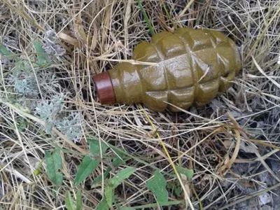 Гранату и боеприпасы нашли на территории мариупольской школы