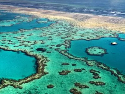 Большой Барьерный риф начал терять окраску - аэросъемка