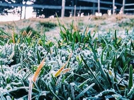 Синоптики предупредили о дожде и мокром снеге на Закарпатье