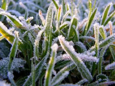 Синоптики предупредили о заморозках и метелях на Закарпатье