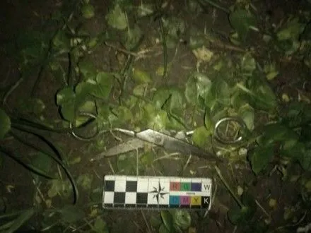 Молодик напав з ножицями на подружжя в Кропивницькому