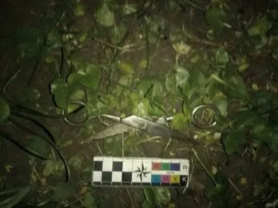 Молодик напав з ножицями на подружжя в Кропивницькому