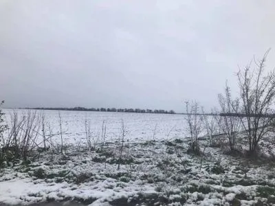 Снег выпал в Херсонской области