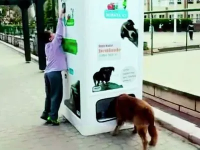 Бездомних тварин у Туреччині годують фандомати