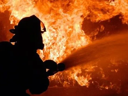 Два человека погибли при пожаре в Житомирской области