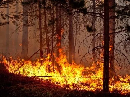 Из-за пожарной опасности в Украине объявлено штормовое предупреждение