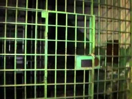 Торговец наркотиками в Черновцах приговорен к 4,5 годам заключения