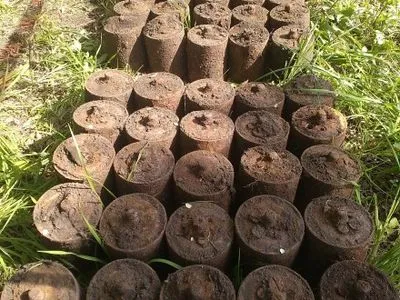 В Винницкой области уничтожили 70 противопехотных мин времен Второй мировой войны