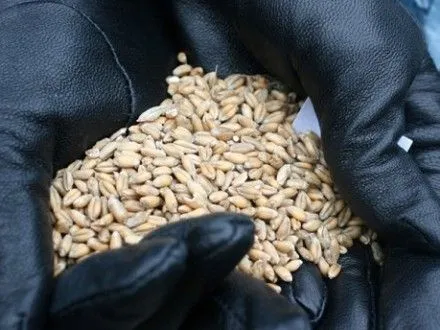 Турция сняла ограничения на ввоз пшеницы из России