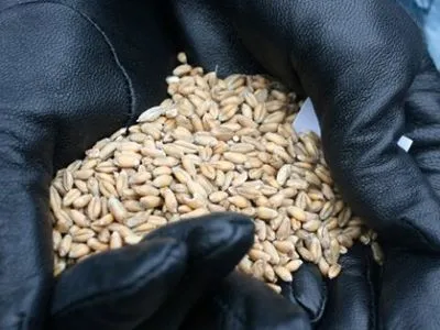 Туреччина зняла обмеження на ввезення пшениці з Росії