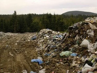 Во Львовской области зафиксировали загрязнение почв и водоемов