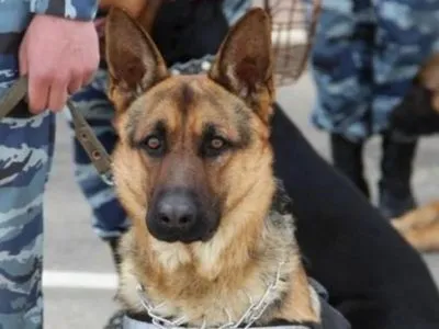 В контрольном пункте "Чонгар" служебная собака помогла найти наркотики