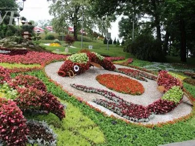 Рыбы из цветов, сад камней и иероглиф "Йоуви" появились на Певческом поле в Киеве