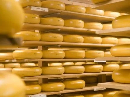 Україна експортувала сиру на майже 8,5 млн дол.