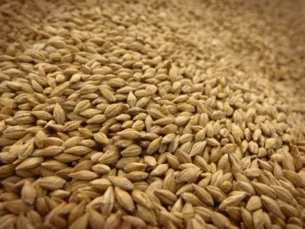 Україна експортувала 40,7 млн тонн зерна