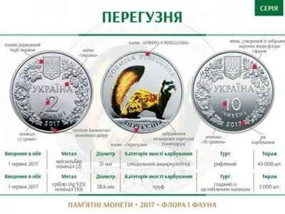 Нацбанк випустив пам’ятні монети із зображенням рідкісного хижака