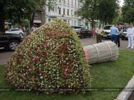 Клумба в виде букета невесты появилась в центре Харькова