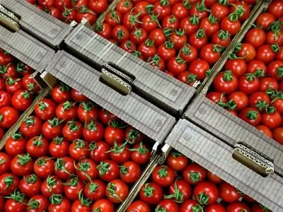 РФ зберегла заборону на імпорт помідорів з Туреччини