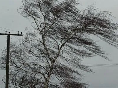 Киевлян предупредили о порывах ветра и грозах