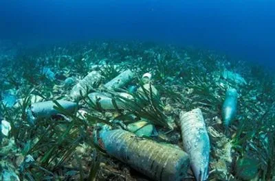ООН: у 2050 році в океанах пластика буде більше, ніж риби