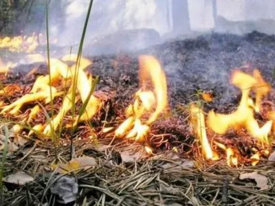 Крім західних областей, в Україні оголошено пожежну небезпеку