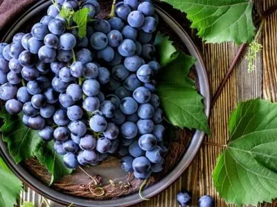 У Мінагрополітики спрогнозували скорочення урожаю винограду