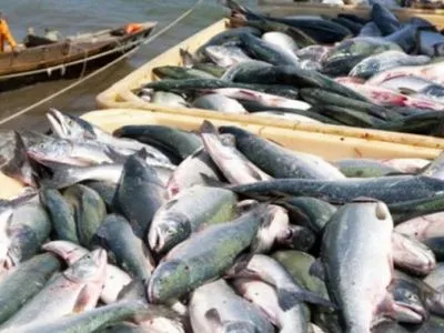 Более 30 тонн некачественной рыбы изъяли в Полтавской области