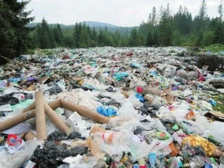 На каждого украинца в прошлом году пришлось почти 300 кг мусора