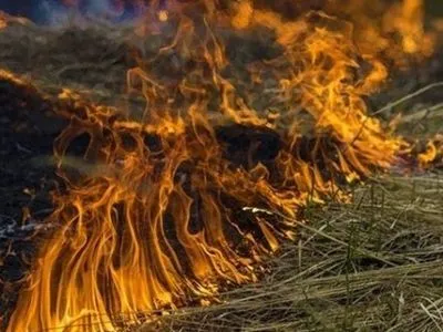 Українців попередили про надзвичайний рівень пожежної небезпеки