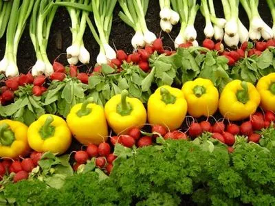 Споживання органічних продуктів в Україні цього року може досягти 25 млн євро – Мінагрополітики
