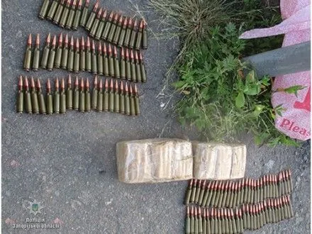 В Запорожской области правоохранители изъяли боеприпасы