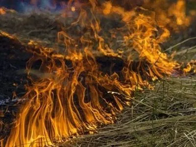 Украинцев предупредили о высоком уровне пожарной опасности