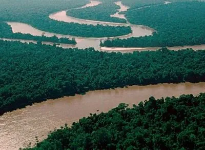 Вчені попередили про катастрофу в басейні Амазонки