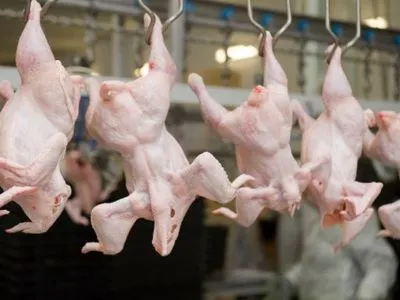 Катар снял запрет на ввоз продукции птицеводства из Украины
