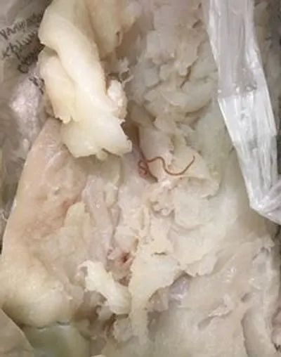 В "Караване" киевлянке продали рыбу с червями - соцсети