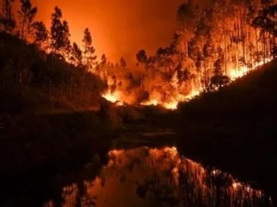 Украинцев призвали не ездить в Португалию из-за масштабного лесного пожара