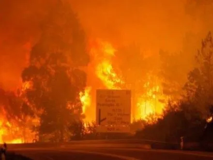 Українців серед жертв масштабної пожежі в Португалії немає - МЗС