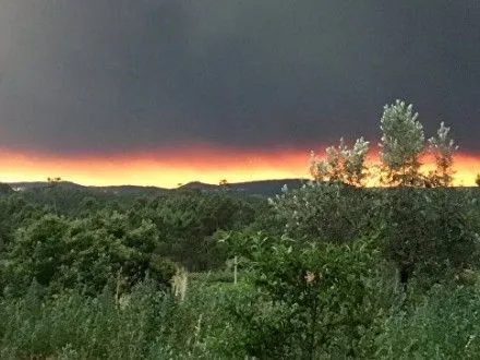 У Португалії внаслідок лісових пожеж загинули 24 людини