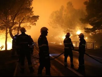 Лесной пожар вспыхнул в курортном районе Хорватии