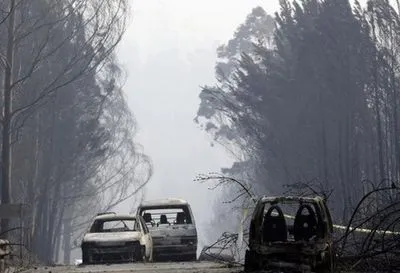 Число жертв лесного пожара в Португалии выросло до 64 человек
