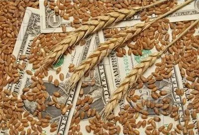 Правительство утвердило финплан Аграрного фонда с прибылью почти 92 млн грн