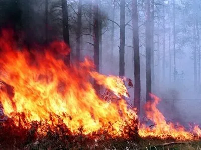 Пожарная опасность объявлена в нескольких районах Киевской области