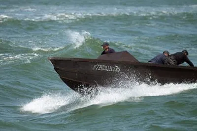 Пограничники Одесской обл обнаружили в браконьерских сетях 7 мертвых дельфинов