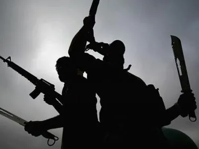 У Бельгії пропонують заборонити пошук пропаганди джихадистів в інтернеті