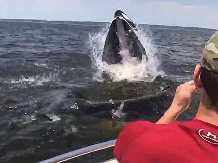 Горбатый кит напугал рыбаков из Нью-Джерси